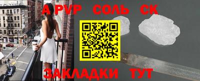индика Камышлов