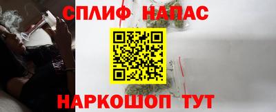 индика Камышлов