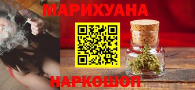 индика Камышлов