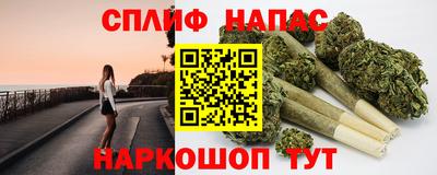 индика Камышлов