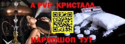индика Камышлов