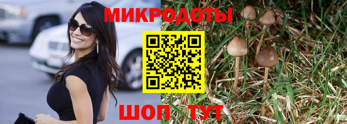 Лысьва  Галлюциногенные грибы Cubensis  Вход с VPN 